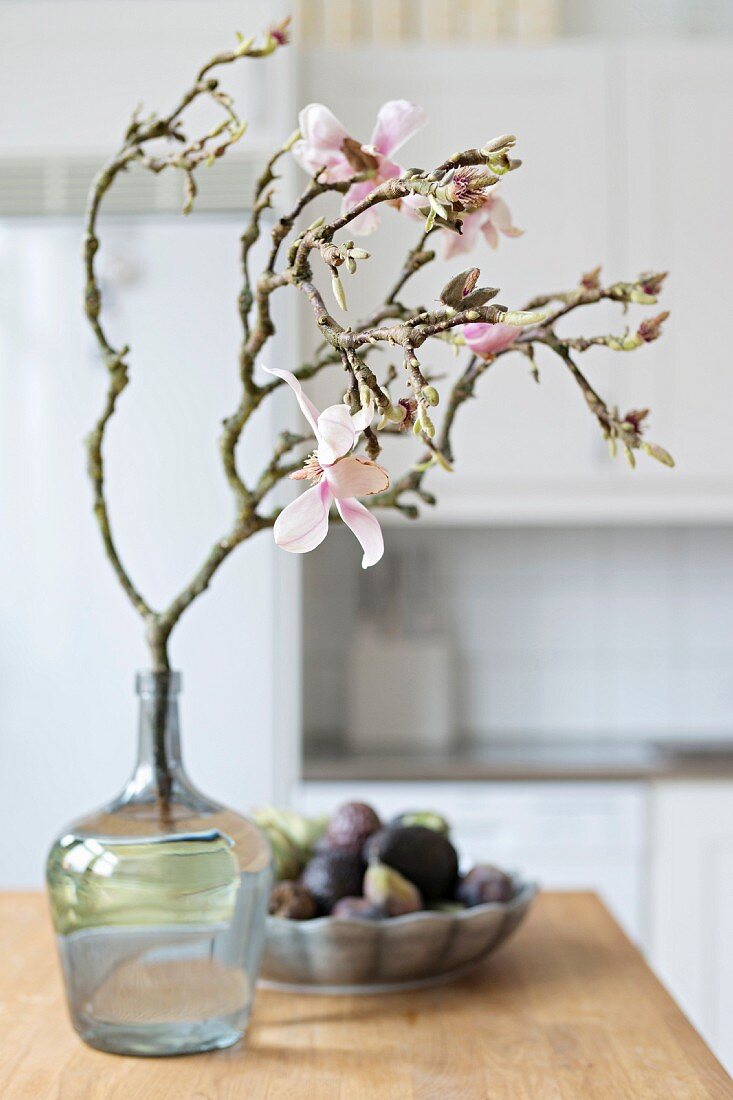 Ein Magnolienzweig mit Blüten in einer Glasvase, Obstschale im Hintergrund