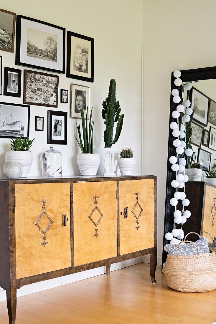 Gallery of black and white photos above cacti on sideboard