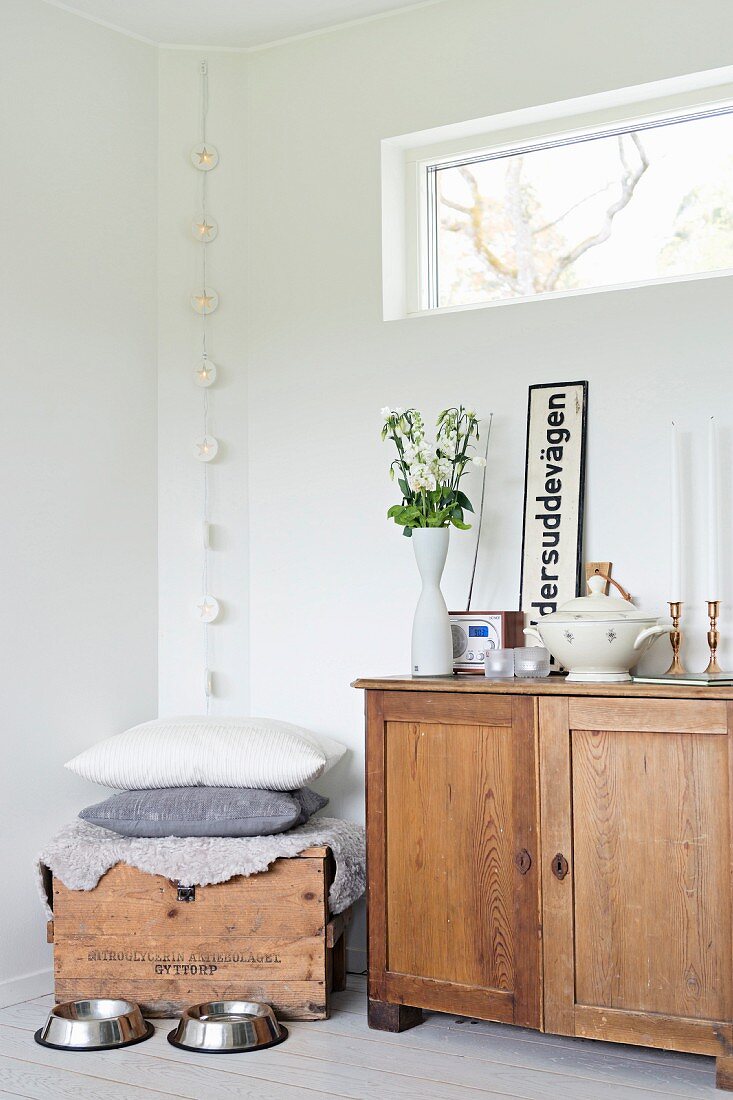 Two animal feeding bowls in front of old cabinet and wooden trunk