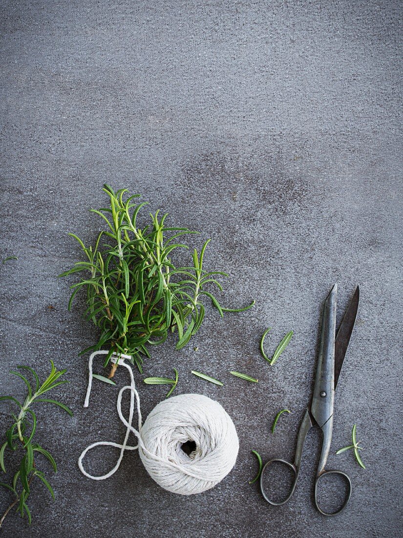 Rosemary sprigs being tied into a bundle for drying