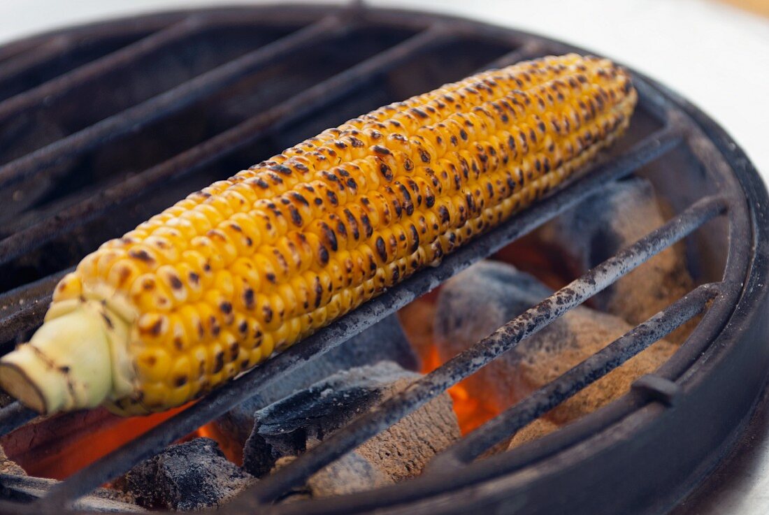 A corn cob on a barbecue