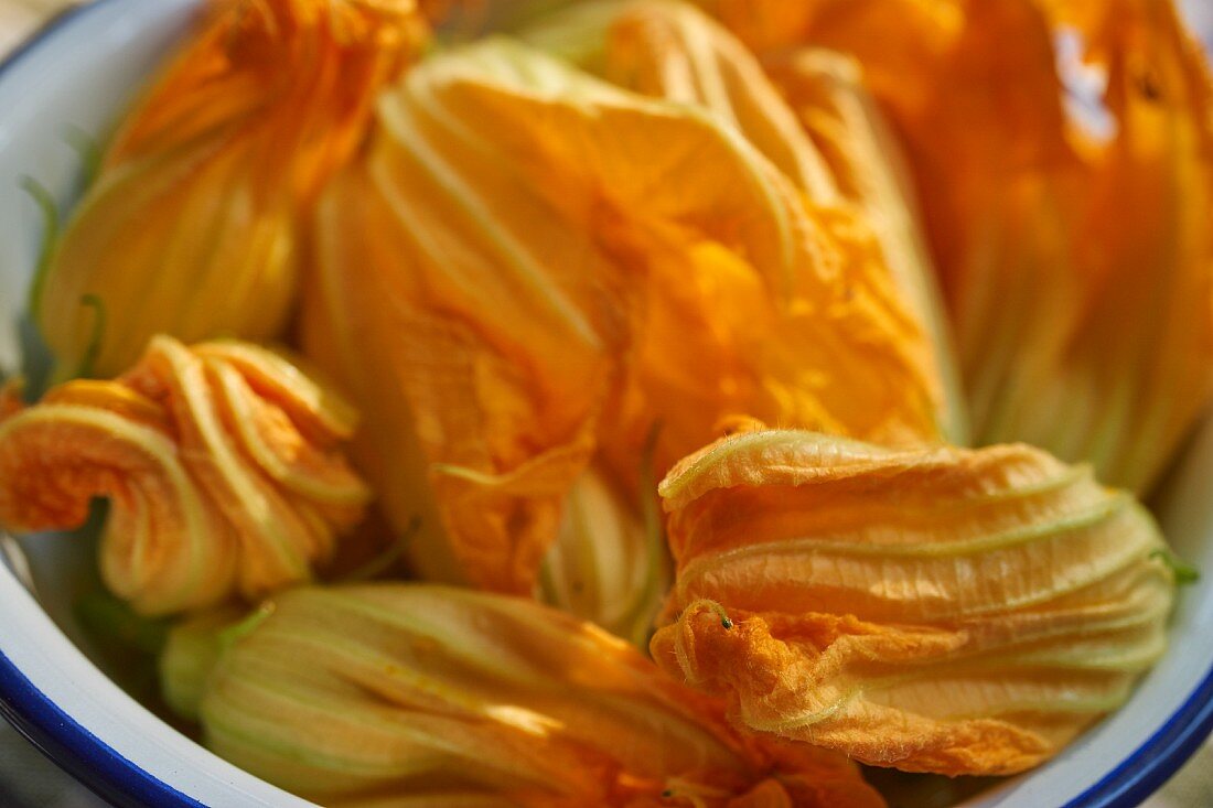 Courgette flowers