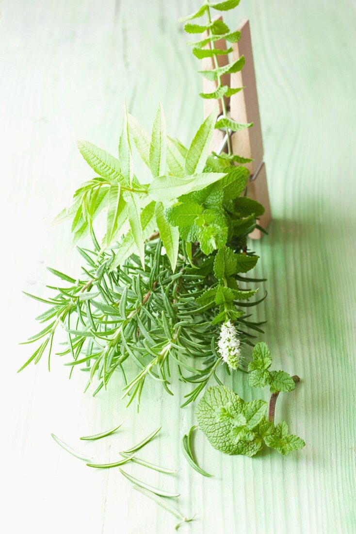 Rosemary, mint and lemon balm