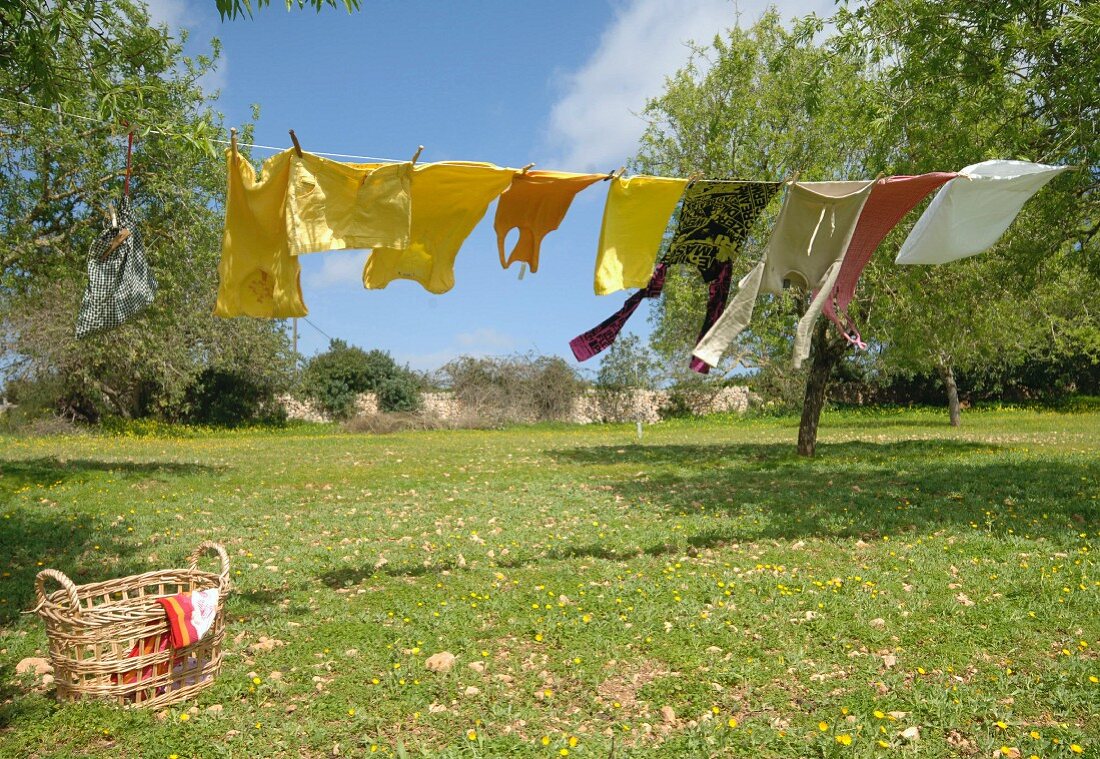 Auf Wäscheleine aufgehängte Wäsche in sonnigem Garten