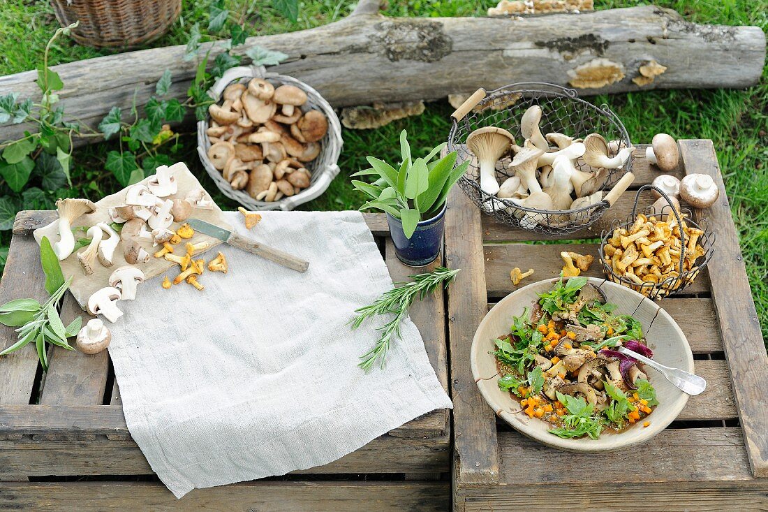 Stillleben mit frisch gesammelten Pilzen & Pilzgericht auf Holzkisten im Freien