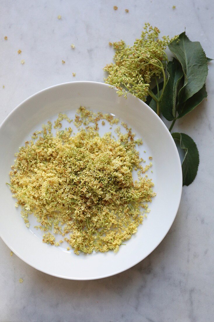 Wilted elderflowers on a plate (seen from above)