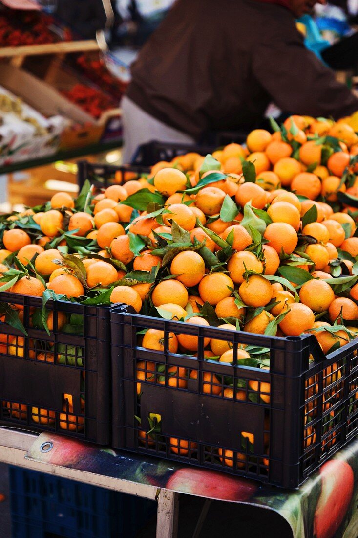 Clementines in crates at a market (Italy)