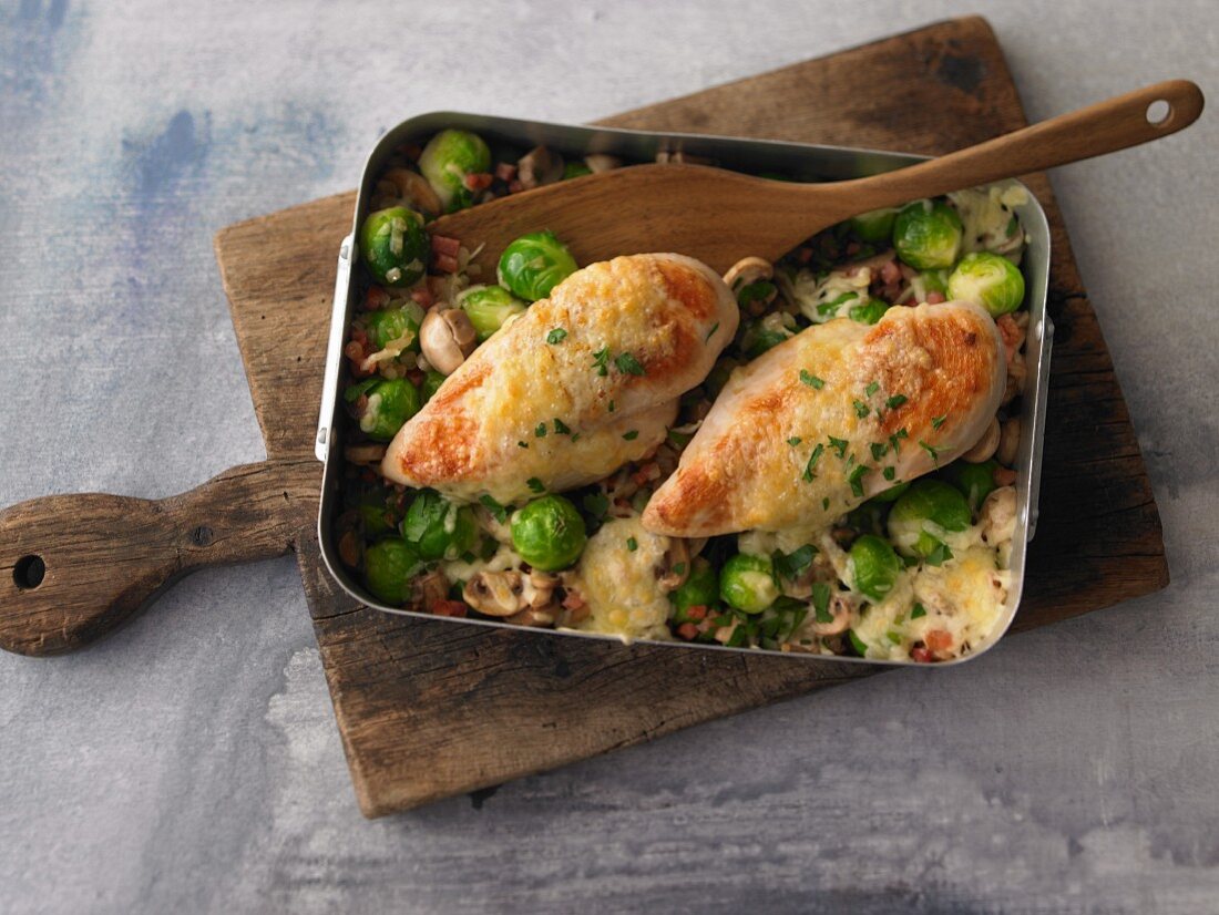 Gratinated chicken breast on Brussels sprouts