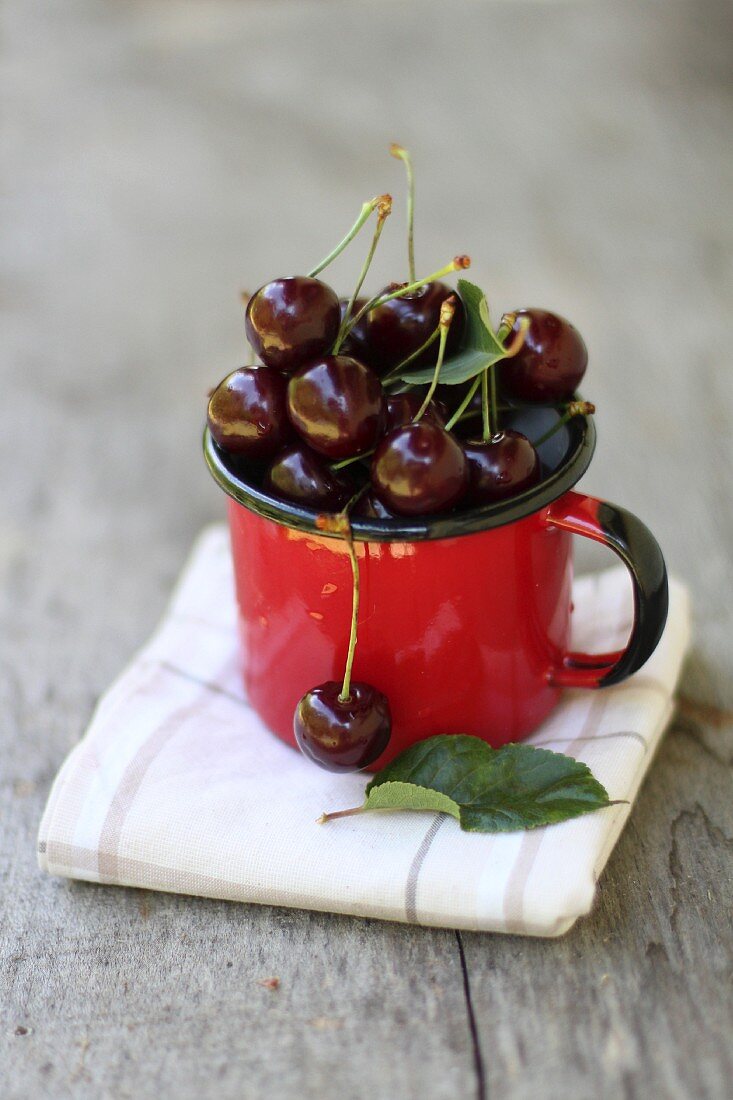 Fresh cherries in an enamel mug