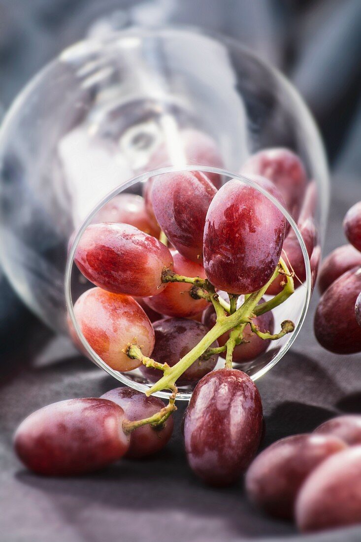 Rote Trauben im umgekippten Weinglas
