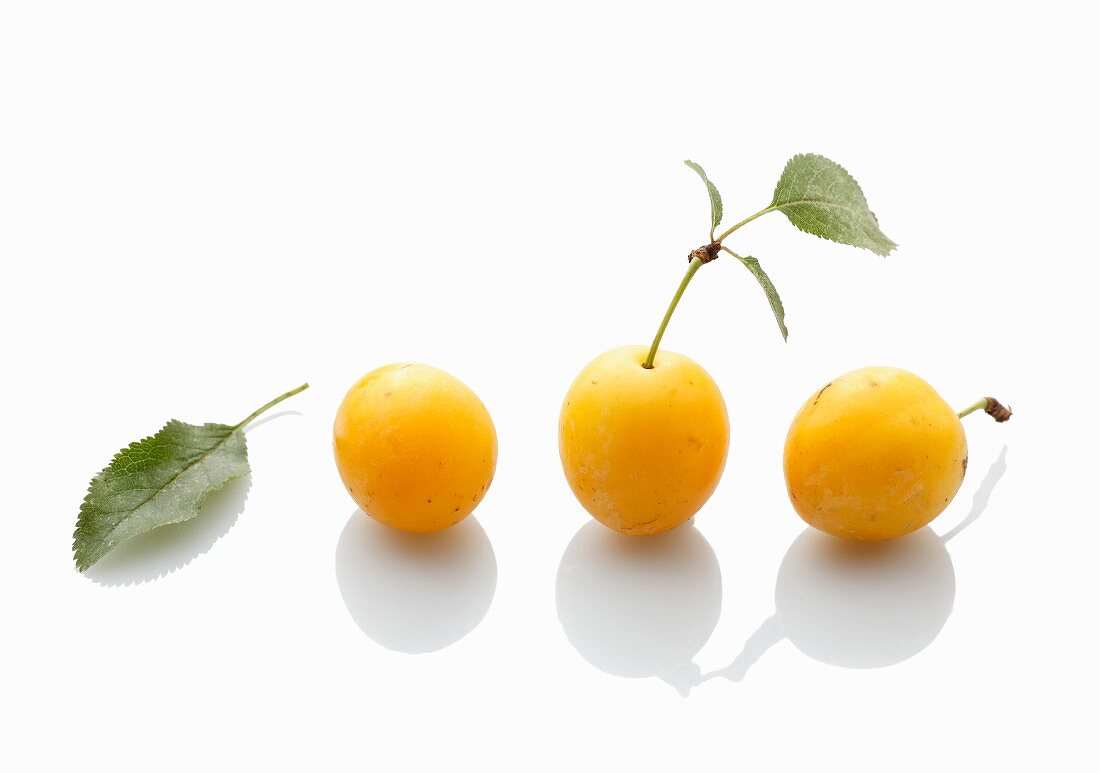 Three yellow plums on a white surface