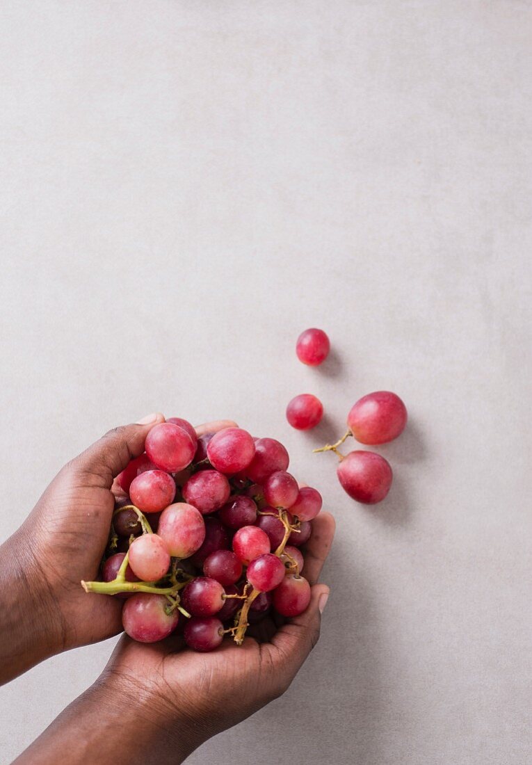 Hands Holding a Bunch of Fresh Red Globe Grapes