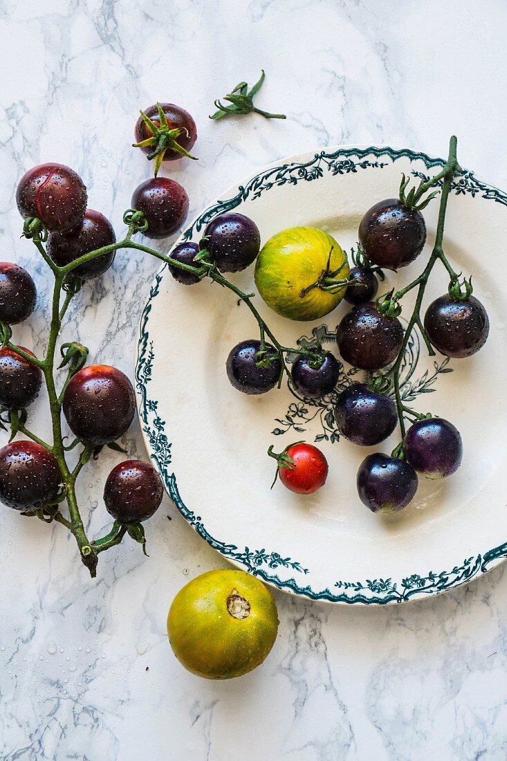 Schwarze Tomaten (Aufsicht)