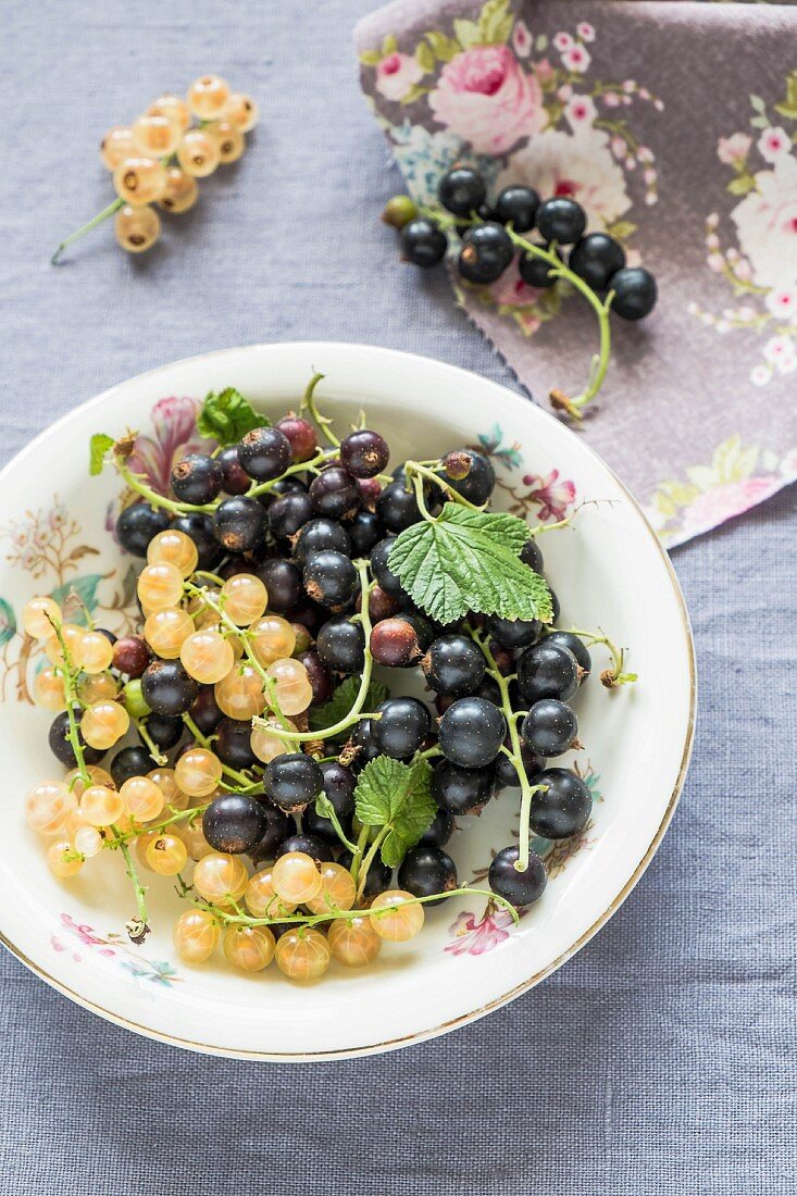 Blackcurrants and whitecurrants on a plate