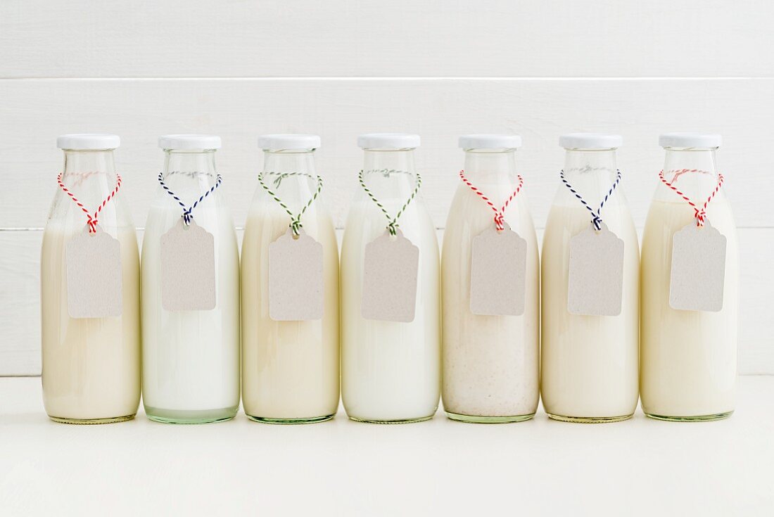 Almond milk, coconut milk, soya milk, rice milk, hazelnut milk, cashew nut milk and oat milk