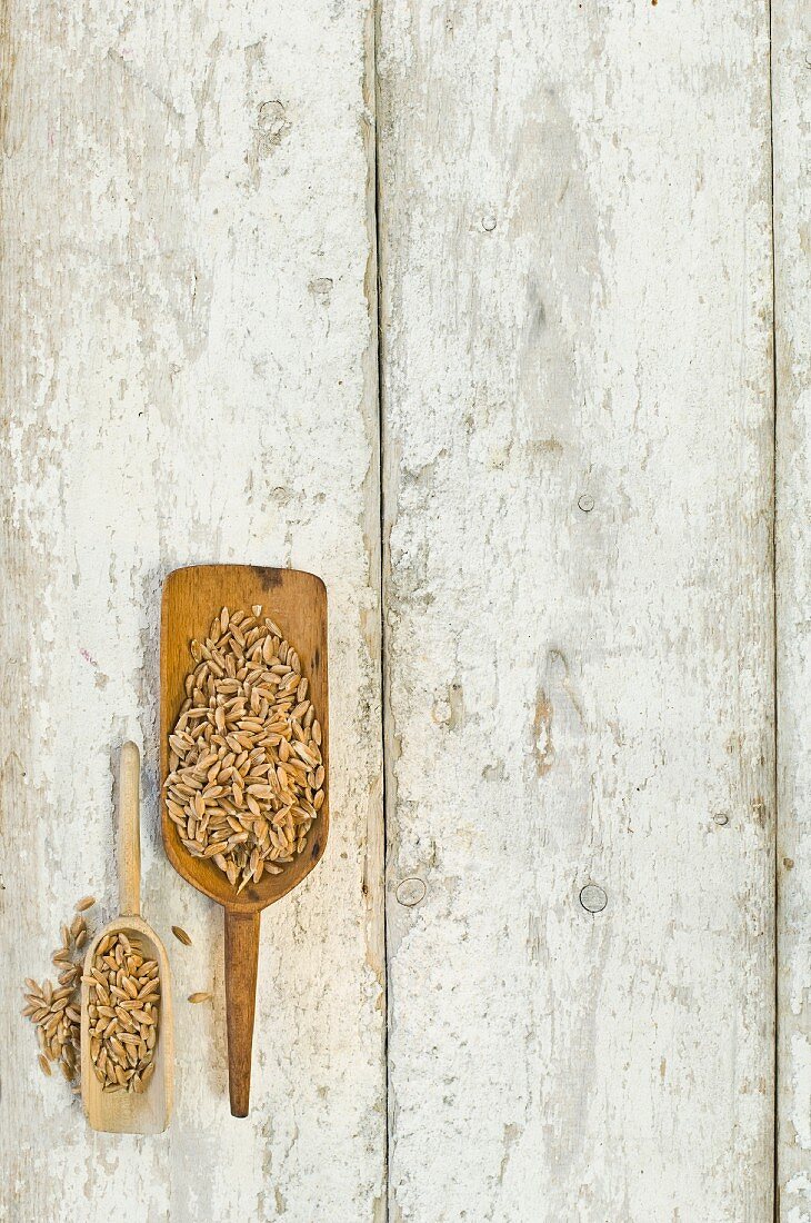 Two wooden scoops of spelt grains on a wooden surface