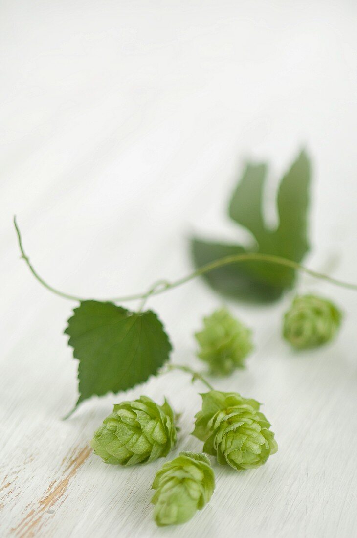 Hops, umbers and leaves on a wooden surface