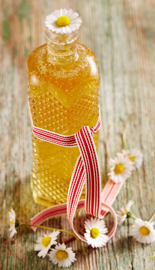 Gänseblümchen-Sirup in Flasche