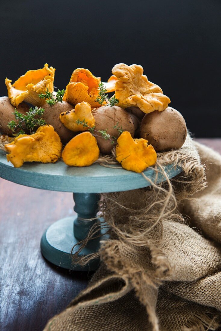 Wild mushrooms on a blue cake stand
