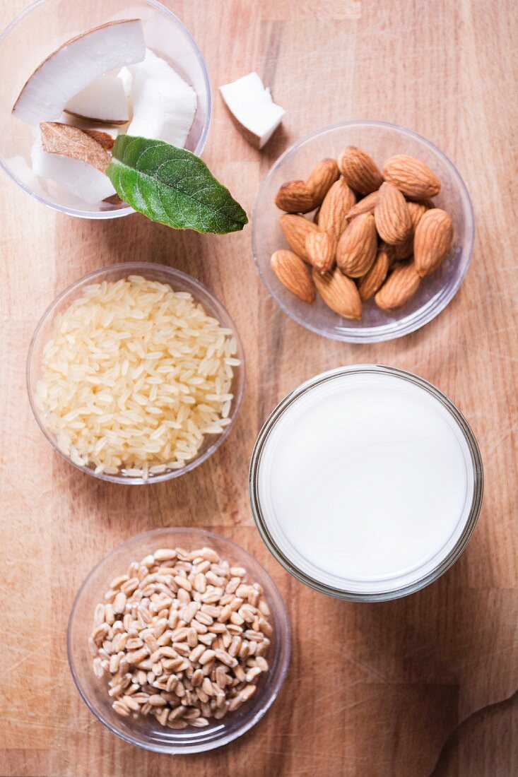 Zutaten für veganen Milchersatz: Mandeln, Reis, Dinkel und Kokosnuss