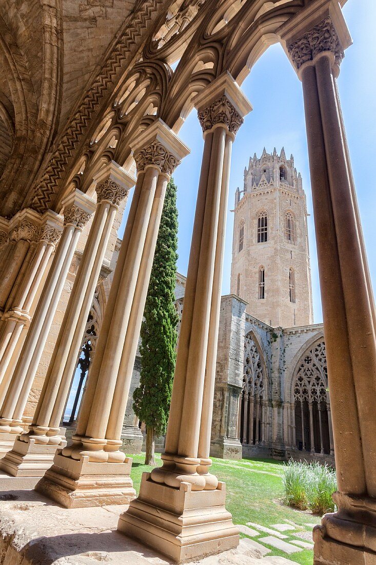 Kathedrale La Seu Vella, Katalonien, Spanien