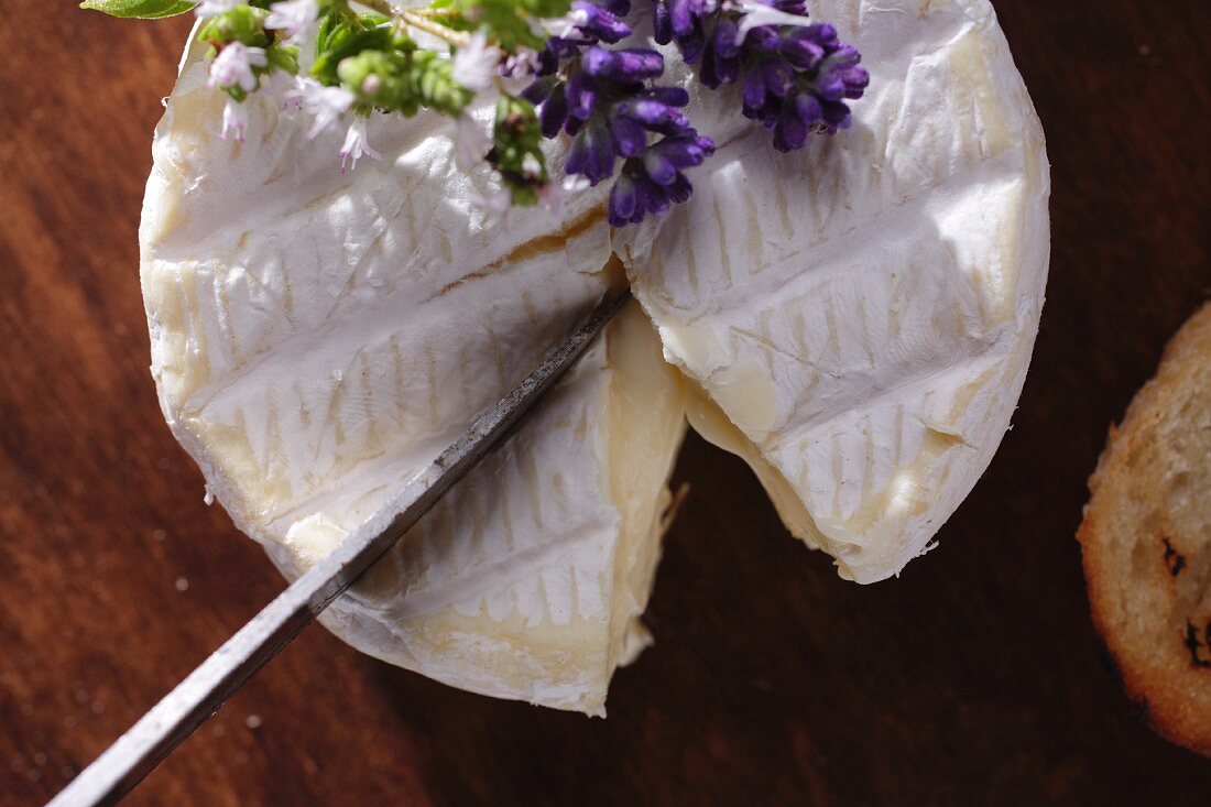 Camembert being sliced (seen from above)