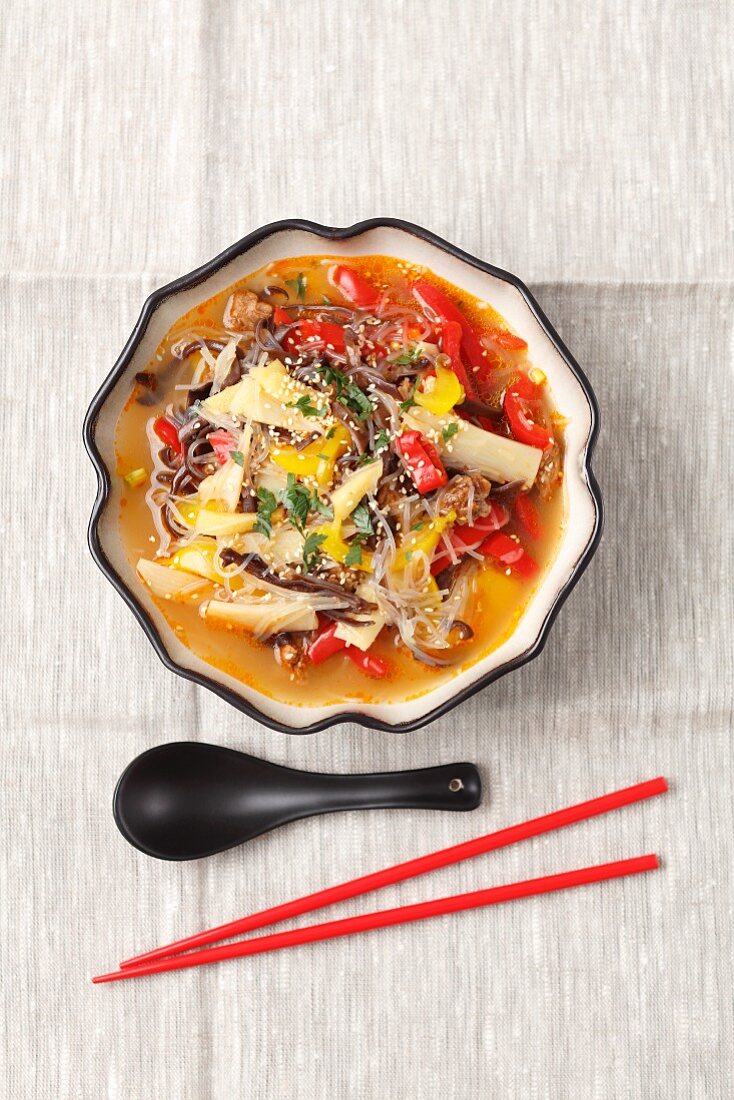 Spicy sour soup with duck, bamboo shots, peppers, Chinese mushrooms and noodles