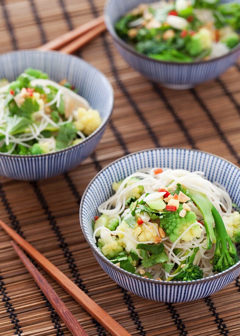 Gemüse-Nudel-Salat mit Koriandergrün (Asien)