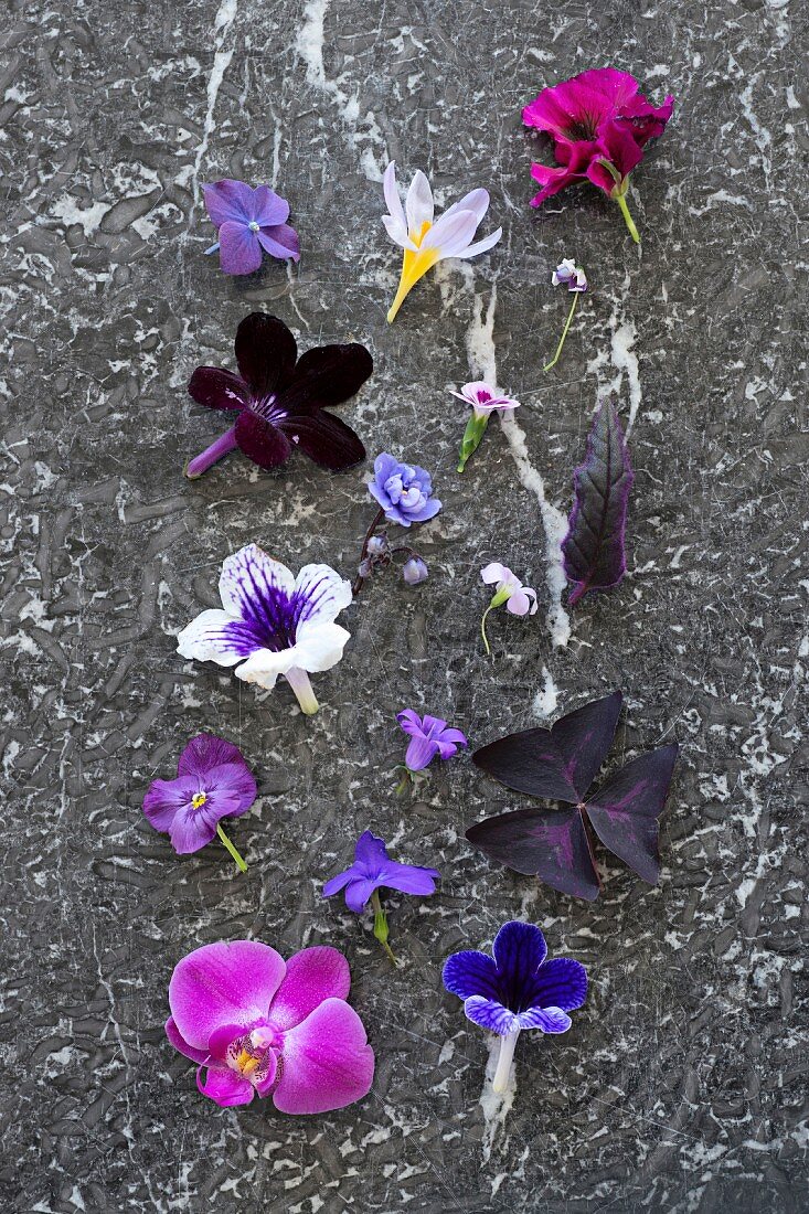 Blütenköpfe in verschiedenen Pink und Violett Tönen auf Steinplatte arrangiert