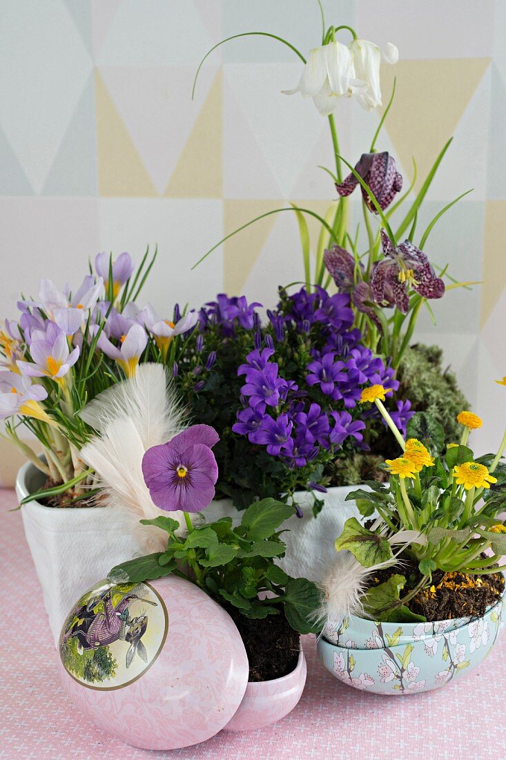 Spring flowers planted in ornamental Easter eggs and white ceramic bowl