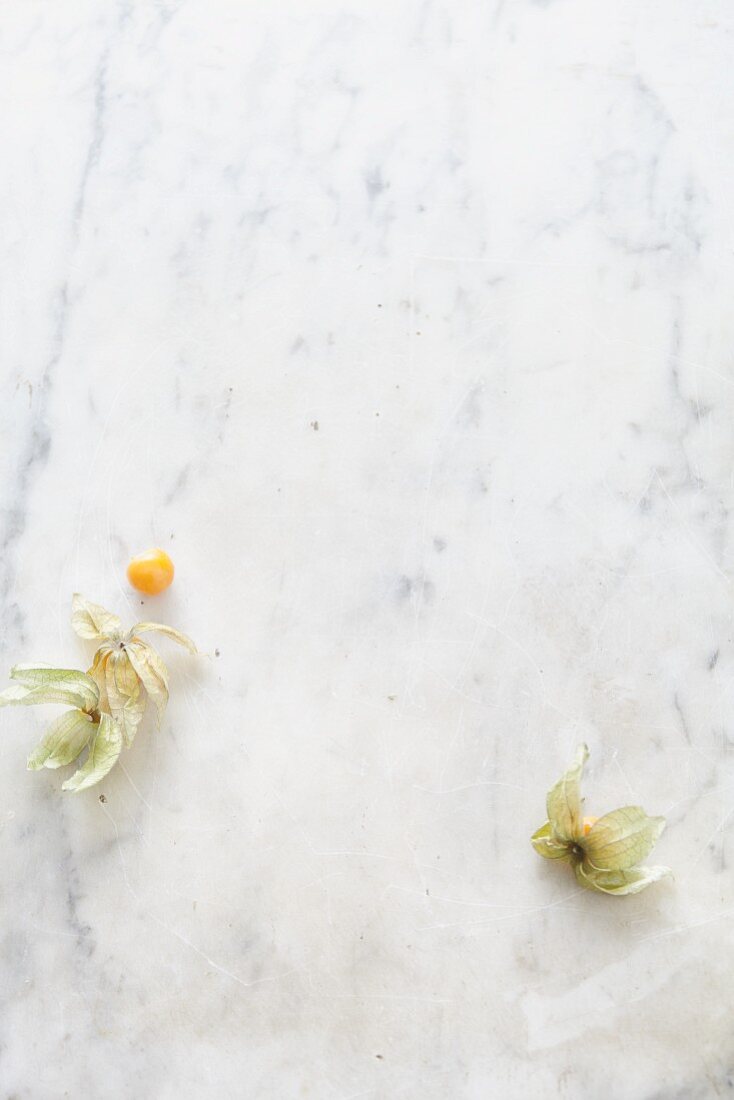 Two physalis' on a marble surface (seen from above)