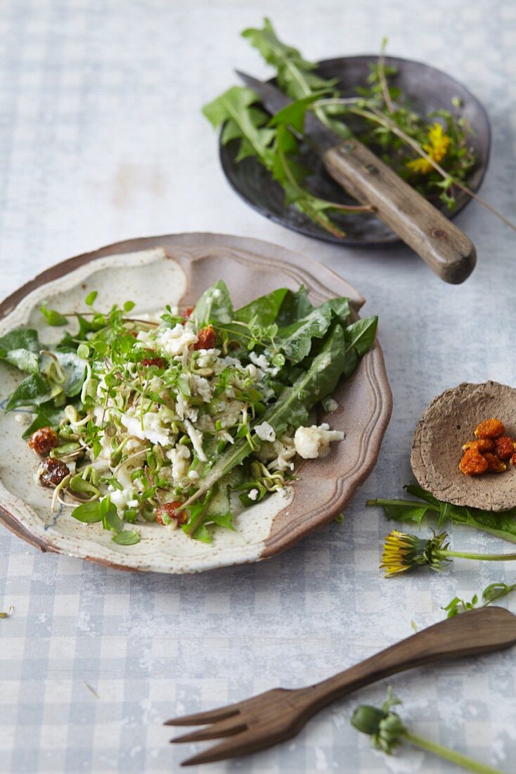 Veganer Löwenzahnsalat mit Blumenkohl & getrockneten Physalis