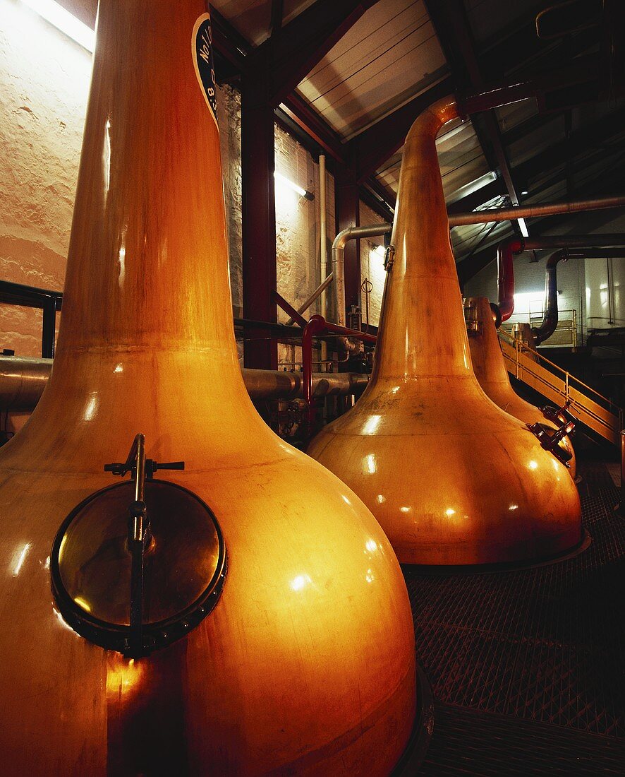 Whiskey-Destillierapparate bei Old Bushmills in Nordirland