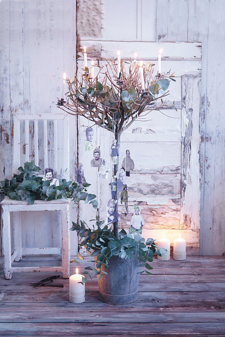 An olive tree decorated with burning candles for Christmas