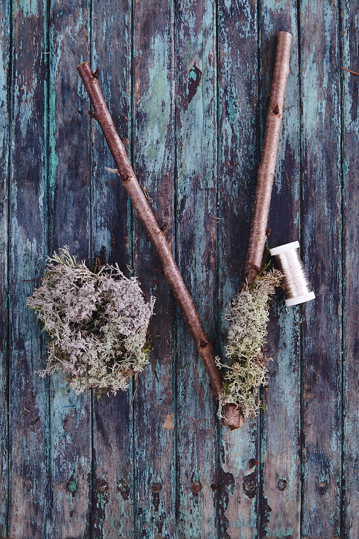 Branches, wire and Icelandic moss for crafts