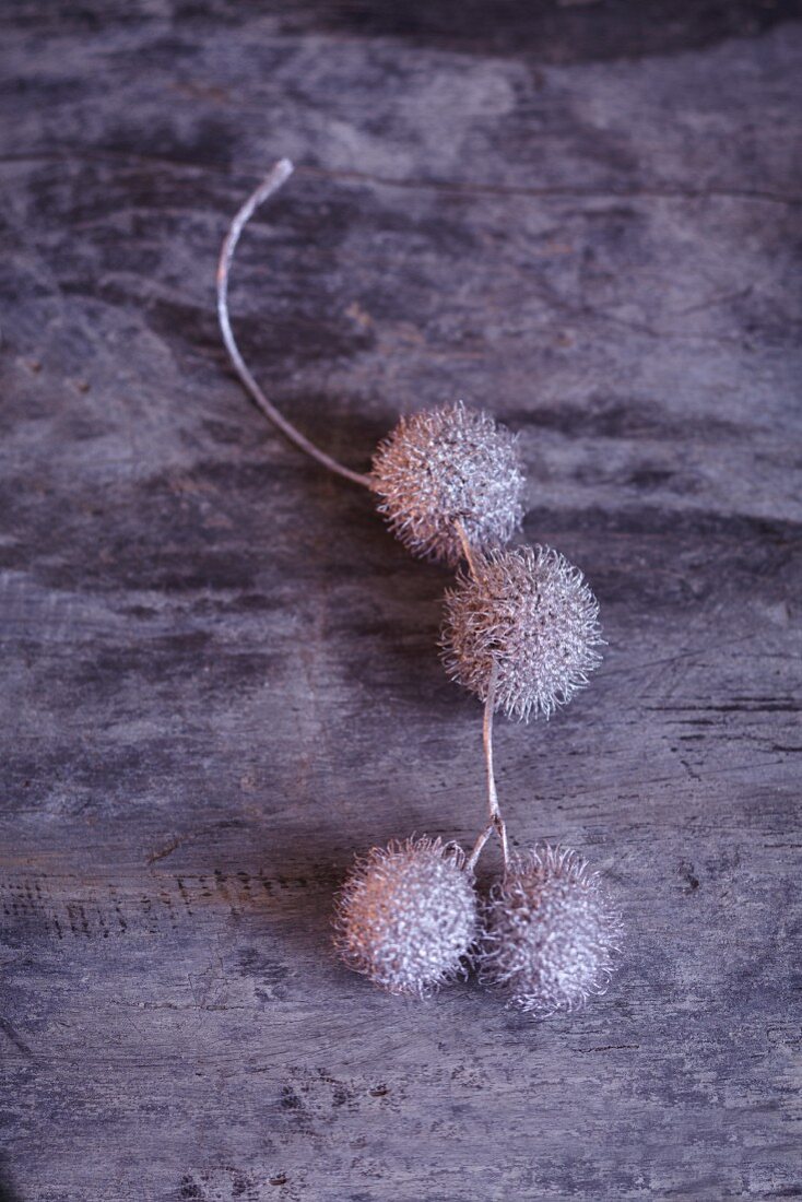 Silver spray-painted plantain fruits on a sprig