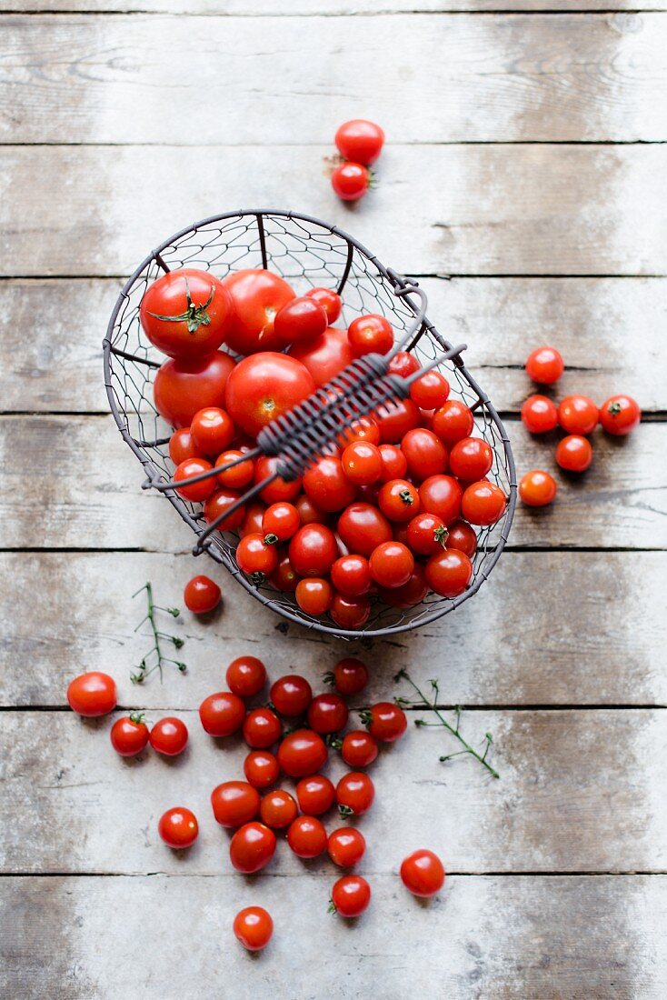 Tomaten in einem Drahtkorb (Draufsicht)