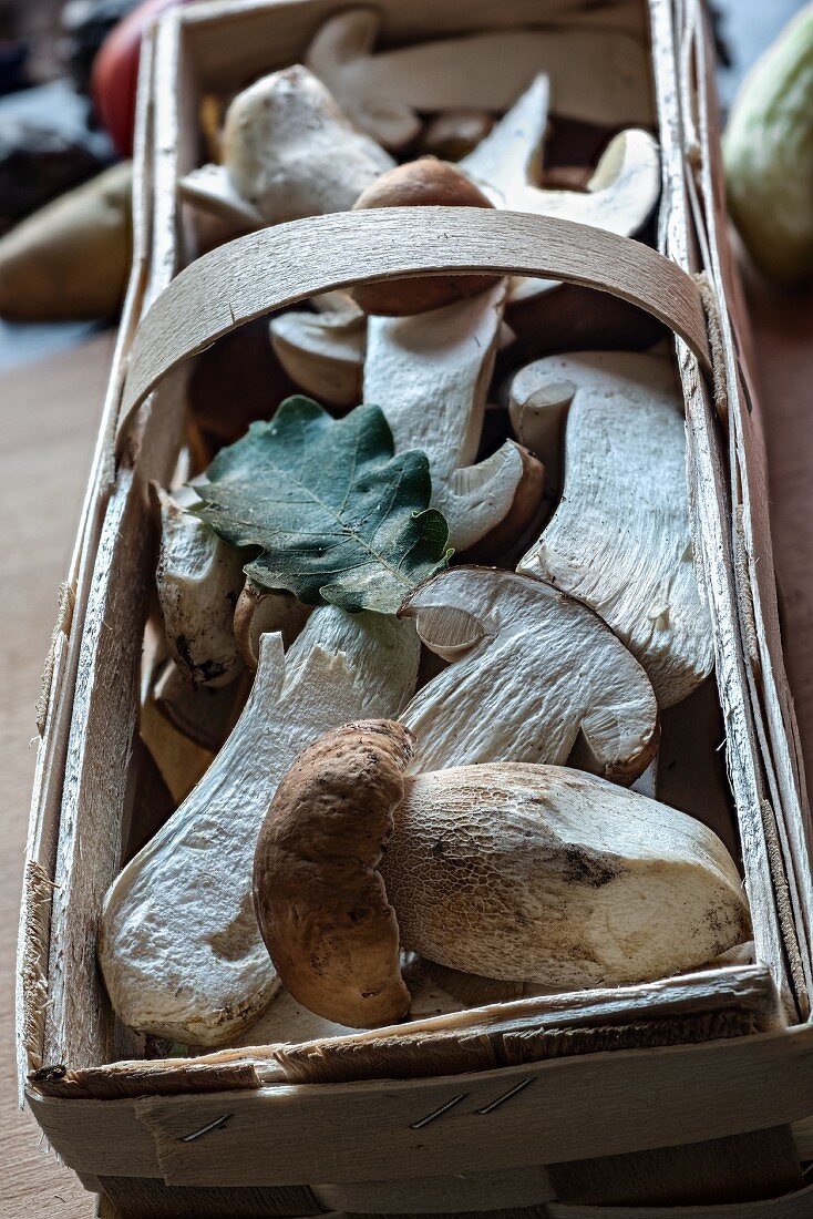 Fresh porcini mushrooms in a wooden basket