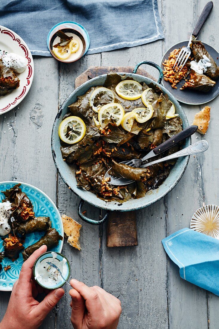 Vine leaves filled with vegetarian mince (Turkey)