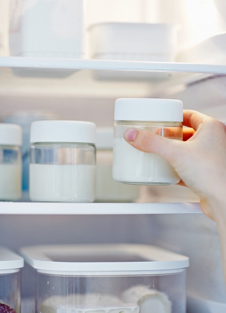 Homemade yoghurt being chilled in a fridge