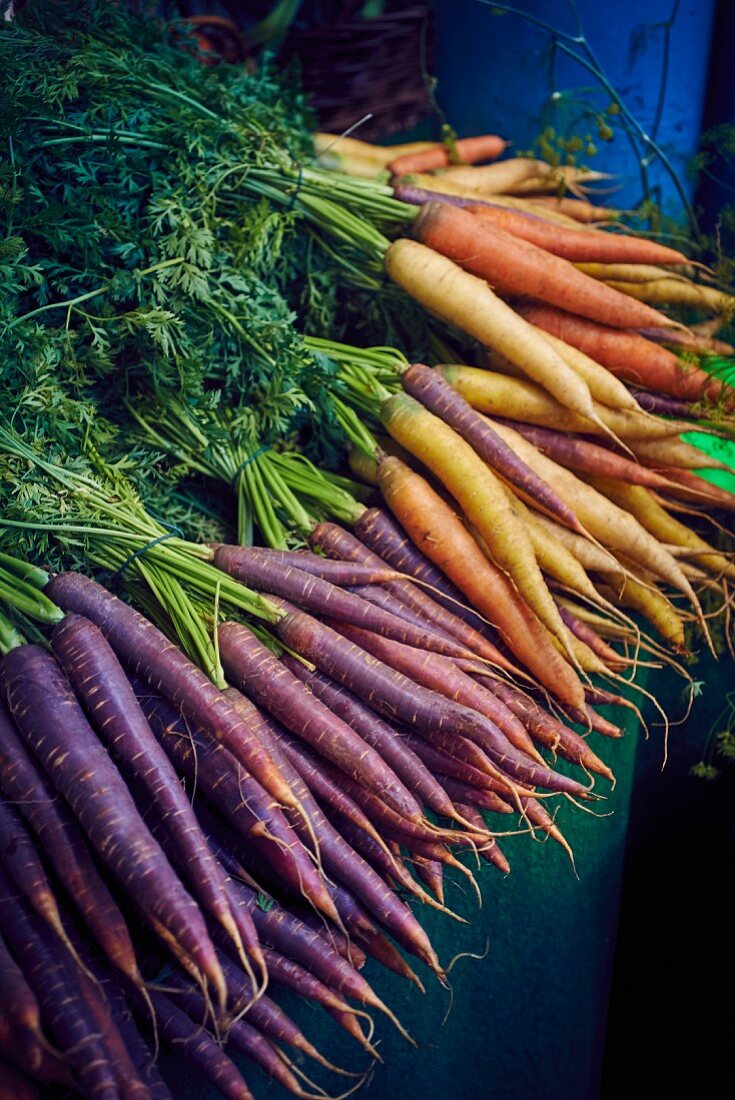 A bunch of carrots