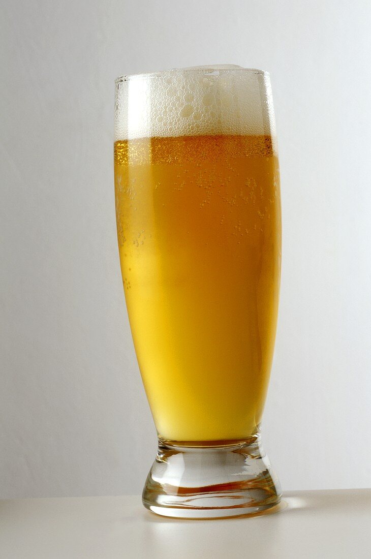 Ein Halbliter-Bierglas gefüllt mit Pils