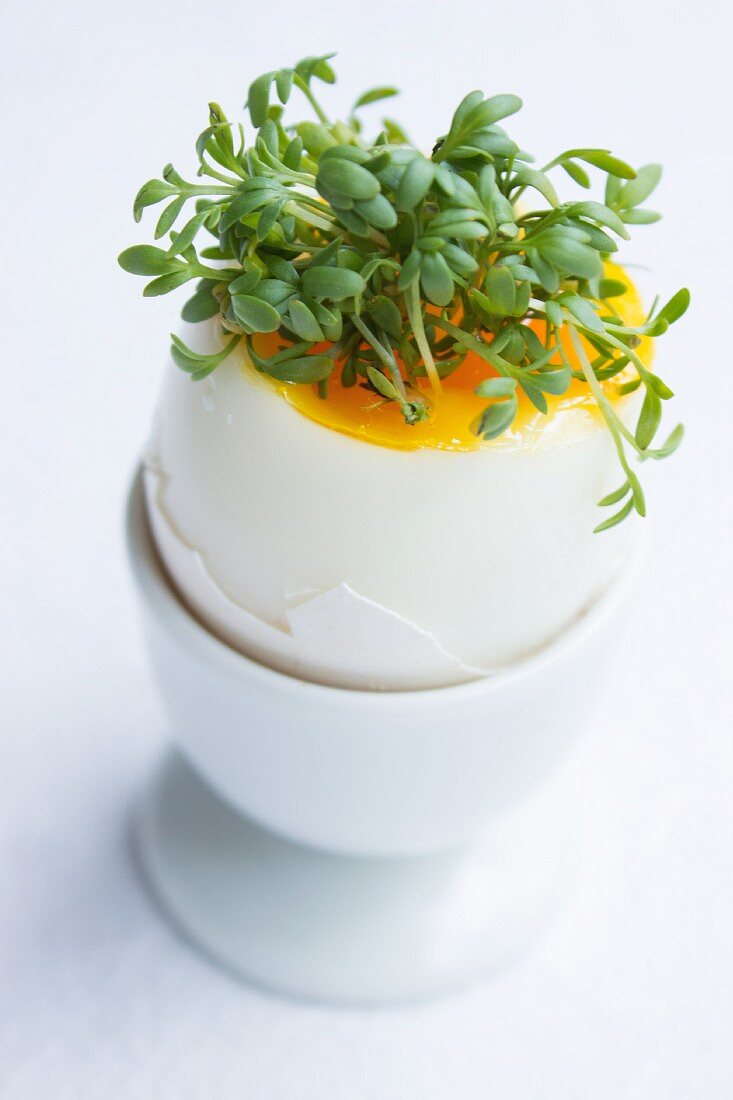 A boiled egg topped with fresh dressed in a white egg cup