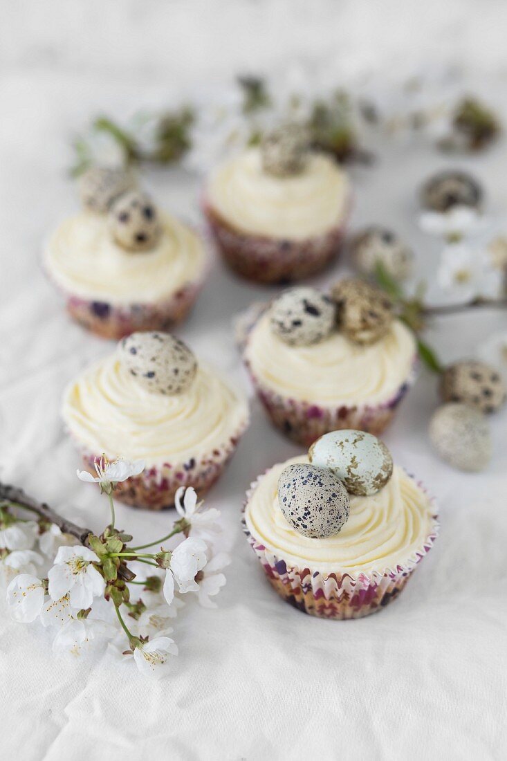 Cupcakes mit weißem Zuckerguss und Wachteleiern zu Ostern