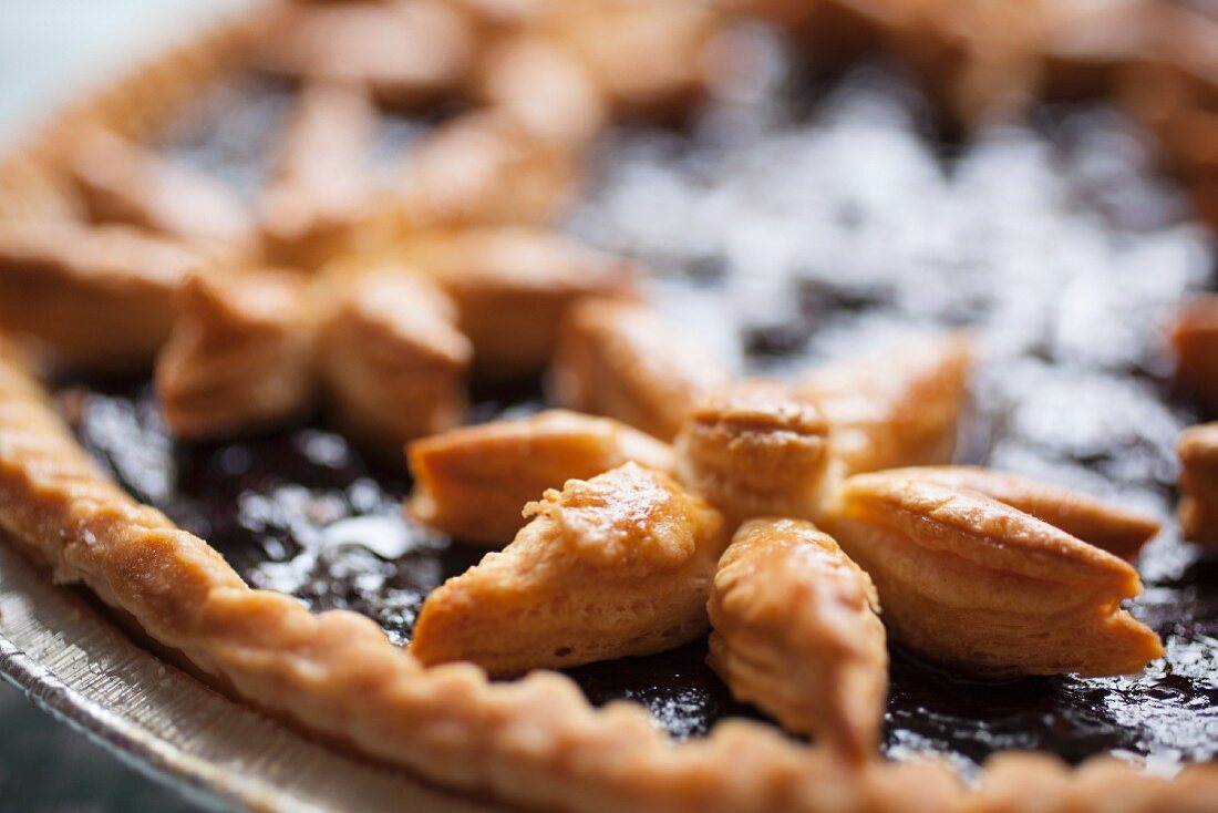 Little Red Fox Pie with blueberries and pastry flowers (USA)