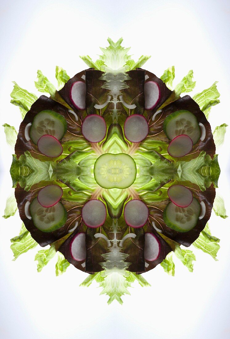 A digital composition of mirrored images of a mixed vegetable salad