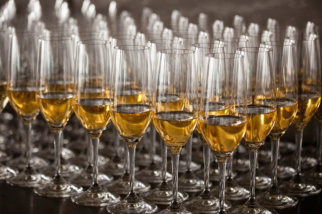 Rows of white wine glasses on a table