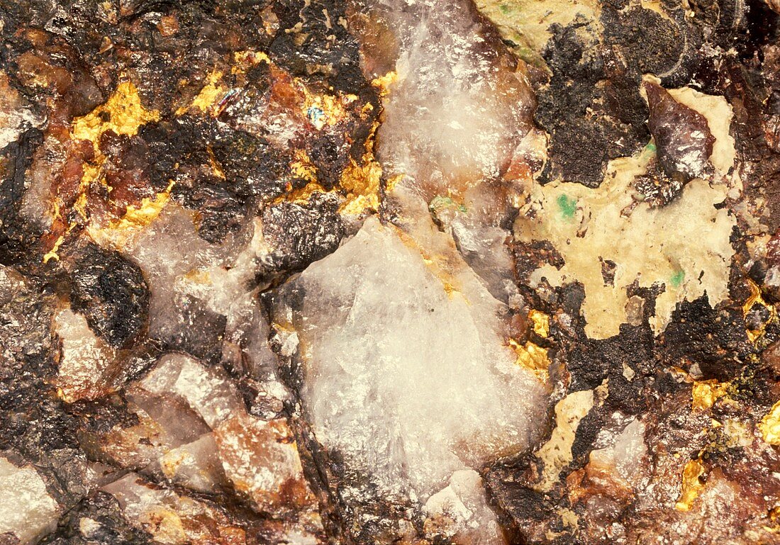 Macrophotograph of quartz and native gold