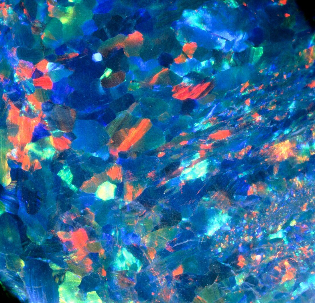 Close-up of a single piece of blue opal