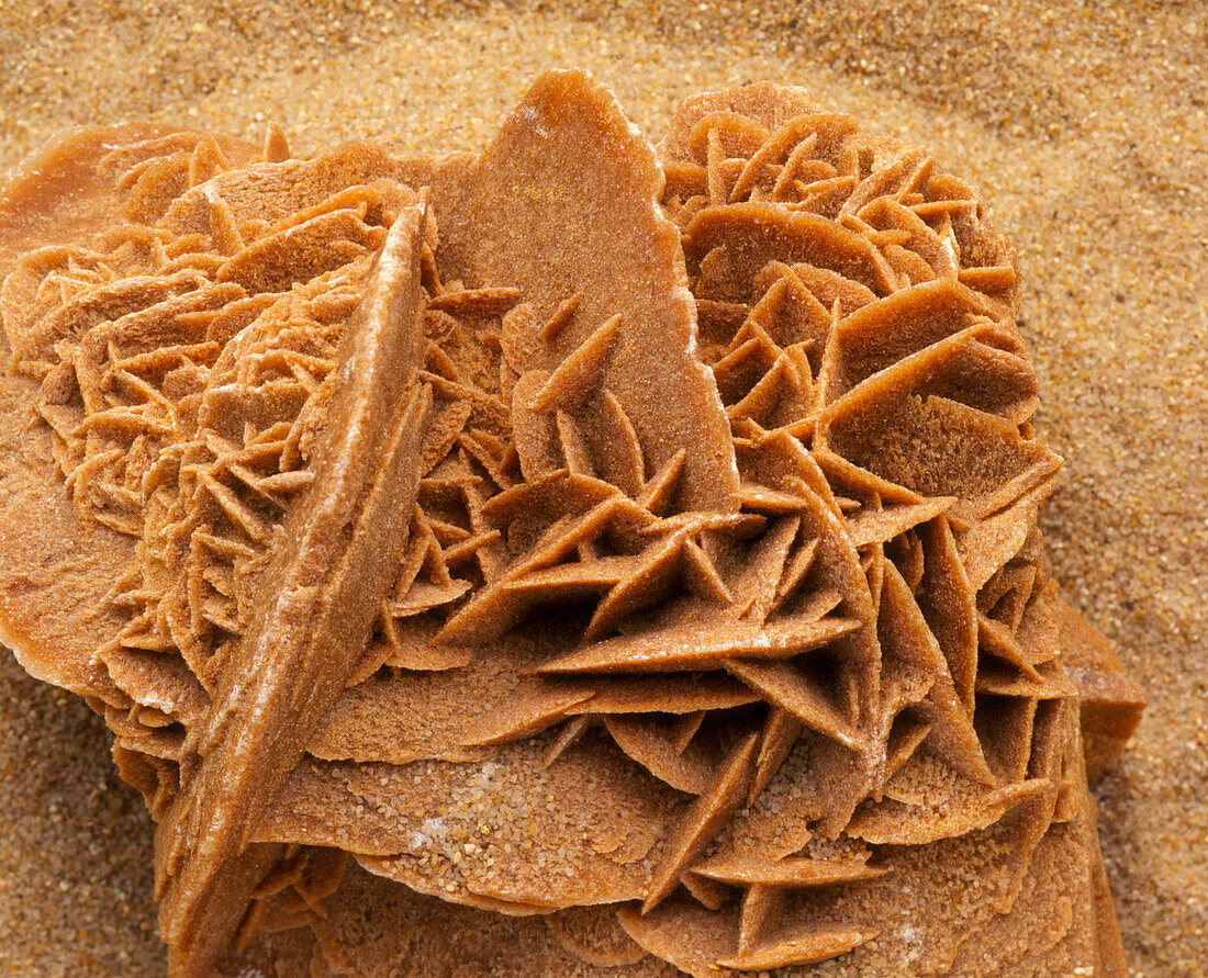 A desert rose formed by aggregate of Gypsum